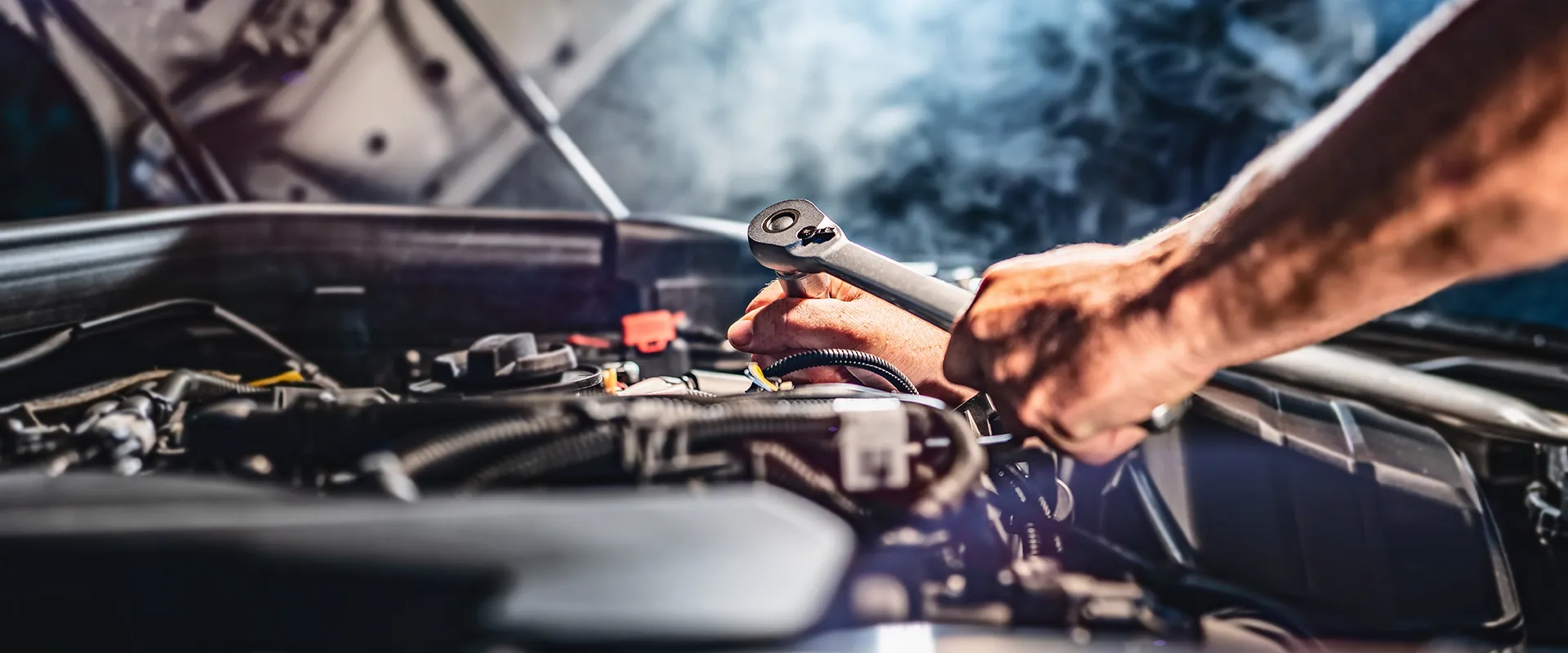 BG Services near Orlando, FL